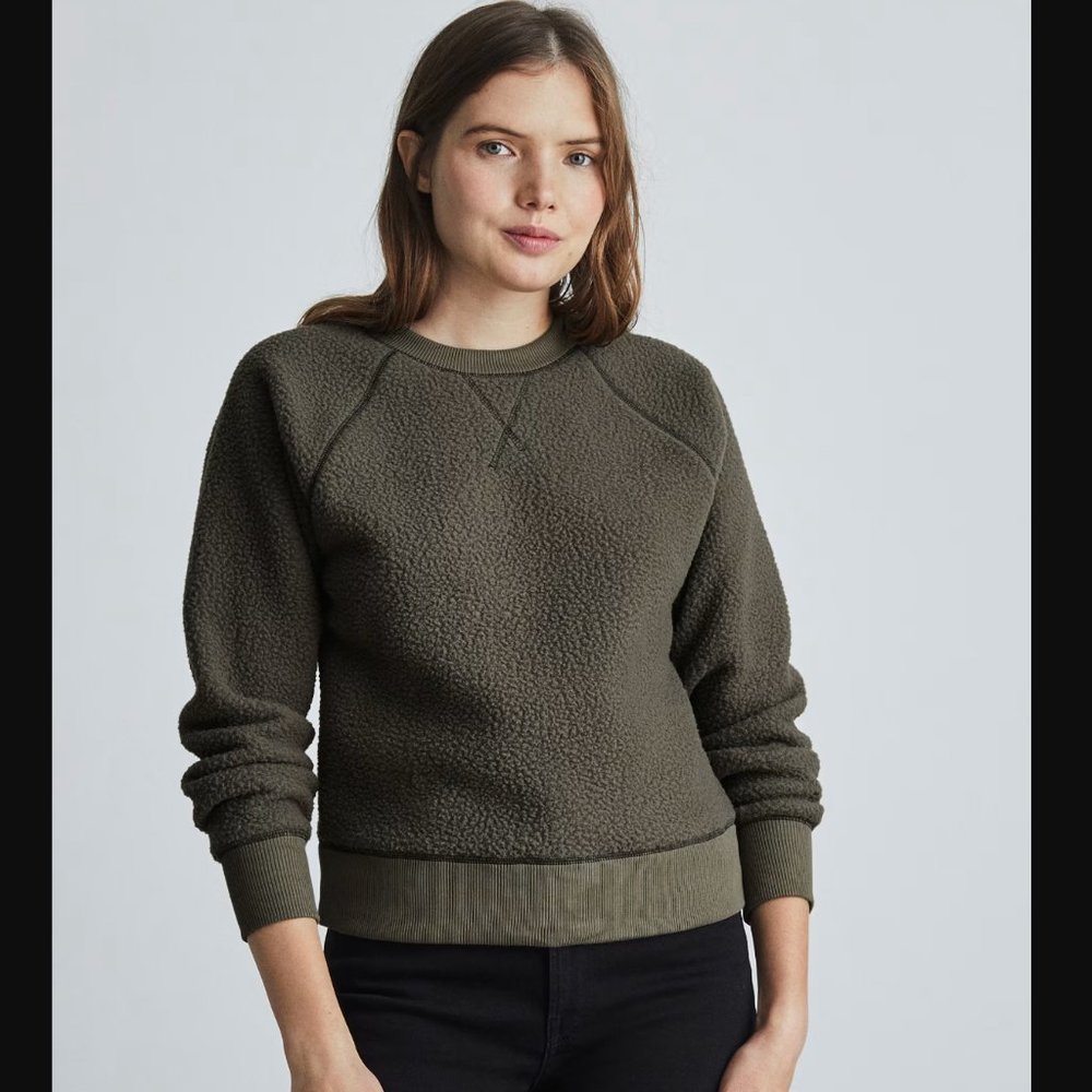 Everlane The ReNew Fleece Raglan Sweatshirt